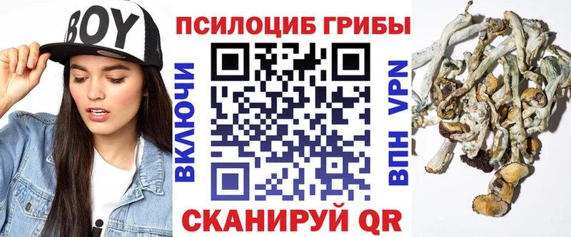 Псилоцибиновые грибы мицелий  Нарьян-Мар 