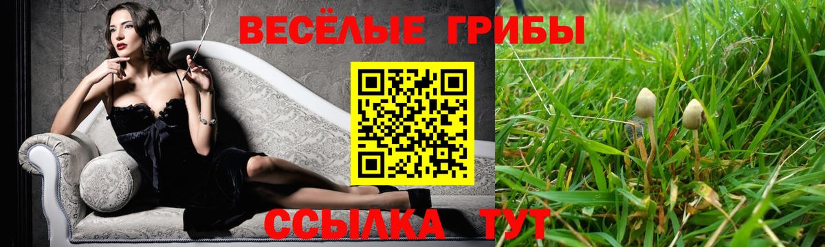 Псилоцибиновые грибы Psilocybine cubensis Нарьян-Мар